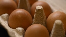 İkinci yumurta ihracat partisi Türkiye’den Rusya’ya ulaştı