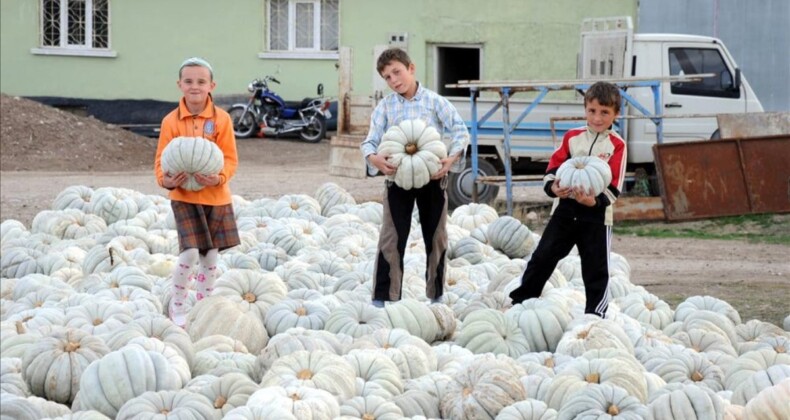 İstanbul’da aralık zam şampiyonu kabak: Fiyatı 93,82 arttı