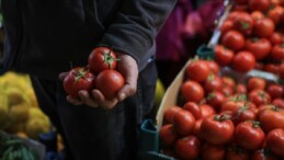 İstanbul’da geçen yıl en çok domates ve karpuz tüketildi