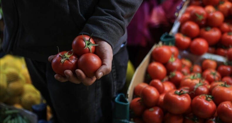 İstanbul’da geçen yıl en çok domates ve karpuz tüketildi