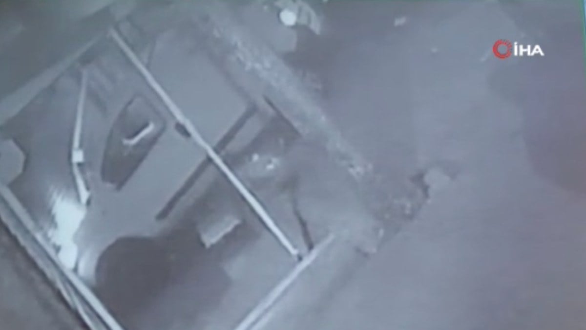 İstanbul’da kediye çarpmamak için dükkana girdi