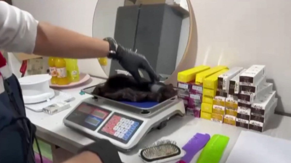 İstanbul’da kilolarca insan saçı ele geçirildi! Piyasa değeri şaşkına çevirdi