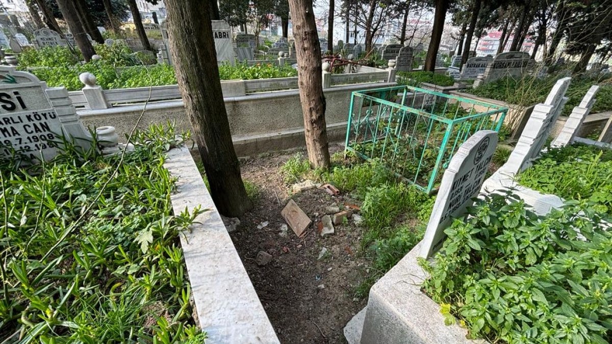 İstanbul’da üç kardeş 20 yıl sonra babalarına dava açtı: Kardeşlerini döverek öldürdüğünü söylediler