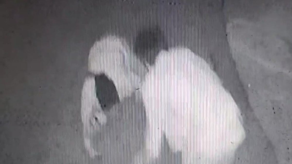 İzmir’de “Sen kafirsin” dediği kişiyi bıçakla öldürdü! İnanılmaz anlar…