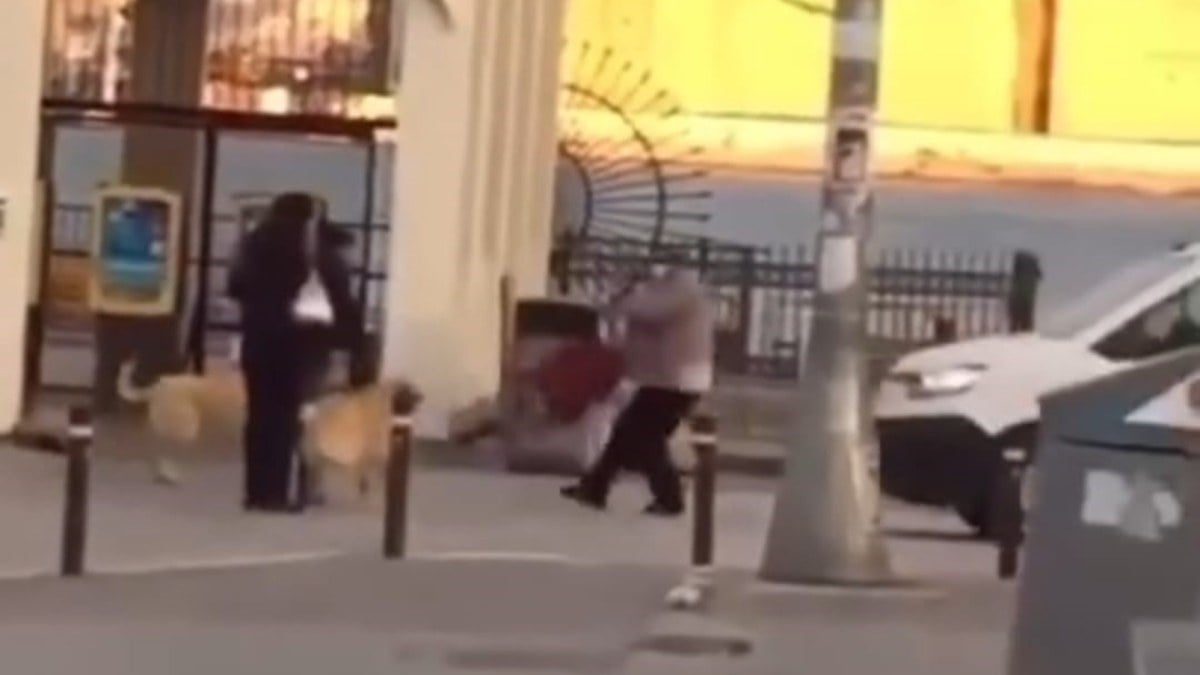 Kadıköy’de sokak köpekleri yaşlı kadına saldırdı