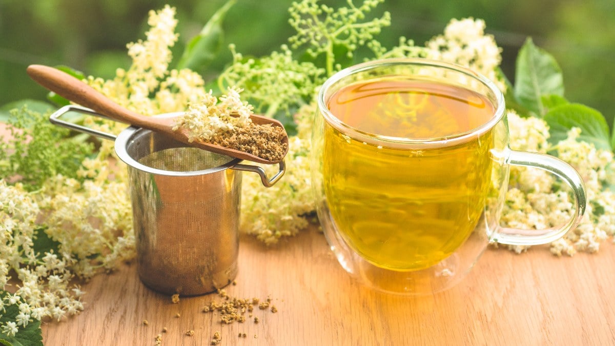 Kar yüzünü gösterdi! Soğuk algınlığına şifa olacak mucizevi çay…