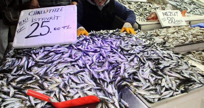 Karadeniz’de istavrit bolluğu yaşanıyor: 25 TL’ye satılıyor