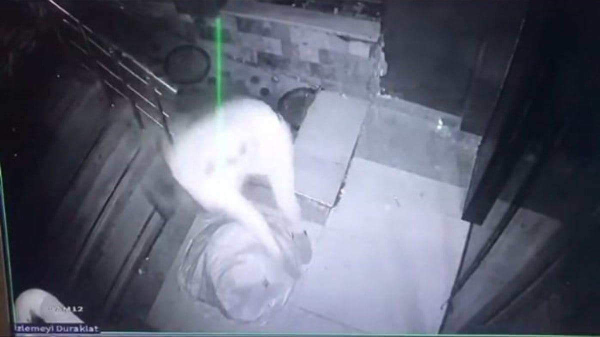 Malatya’da hasarlı binada hırsızlık görüntülendi