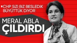 Meral Akşener CHP’ye ateş püskürdü: Kendi imkanlarımızla biz propaganda yaptık