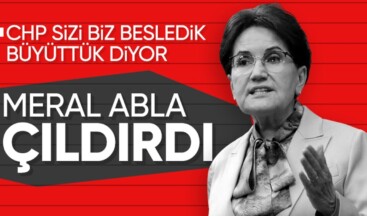 Meral Akşener CHP’ye ateş püskürdü: Kendi imkanlarımızla biz propaganda yaptık