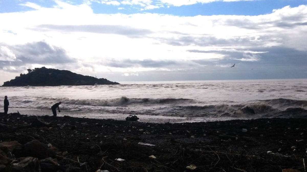 Mersin’de deniz suyu kahverengine döndü