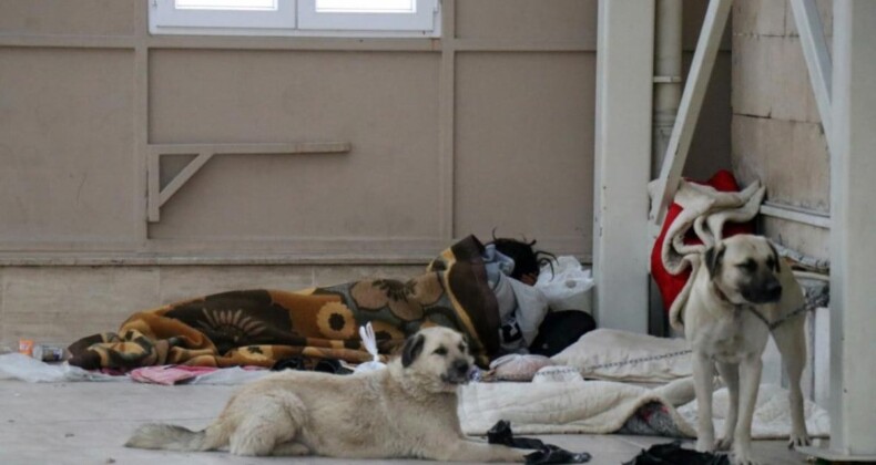 Sakarya’da cami cemaati isyanda: Köpekleriyle endişe saçıyor