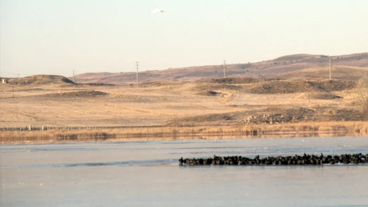 Sivas buz kesti! Hafik Gölü kısmen dondu…