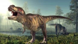 T.Rex’in en yakın akrabasıyla tanışın: 71 milyon yıl önce yaşayan vahşi bir dinozorun kalıntıları keşfedildi