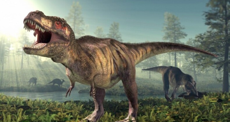 T.Rex’in en yakın akrabasıyla tanışın: 71 milyon yıl önce yaşayan vahşi bir dinozorun kalıntıları keşfedildi