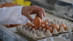Üreticide fiyatı düşen yumurta, markette zamlandı!