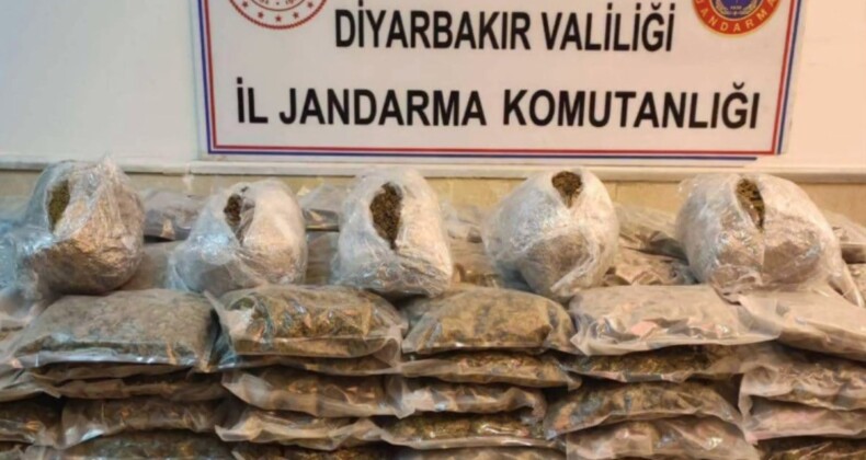 15 ilde uyuşturucu operasyonu: 881 kilo uyuşturucu ele geçirildi