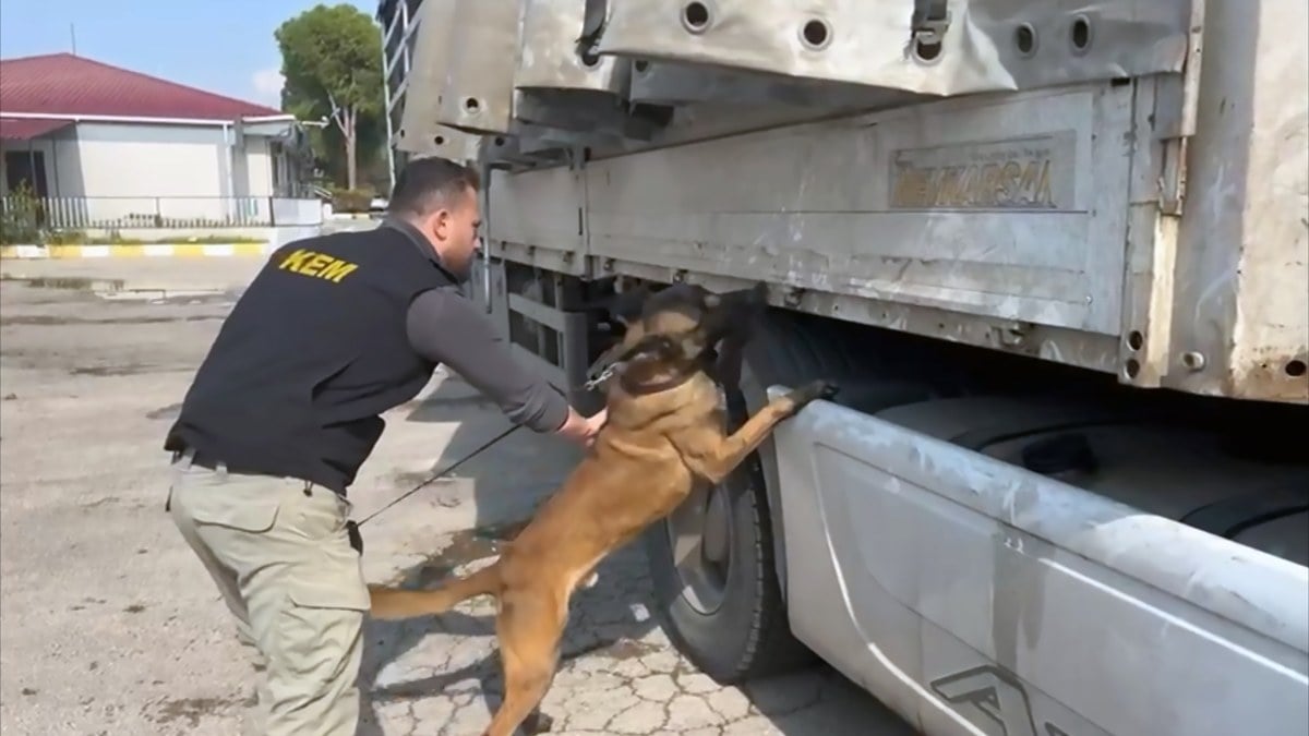 Adana’da uyuşturucu operasyonu: Tıra gizlenmiş 100 kilo esrar bulundu