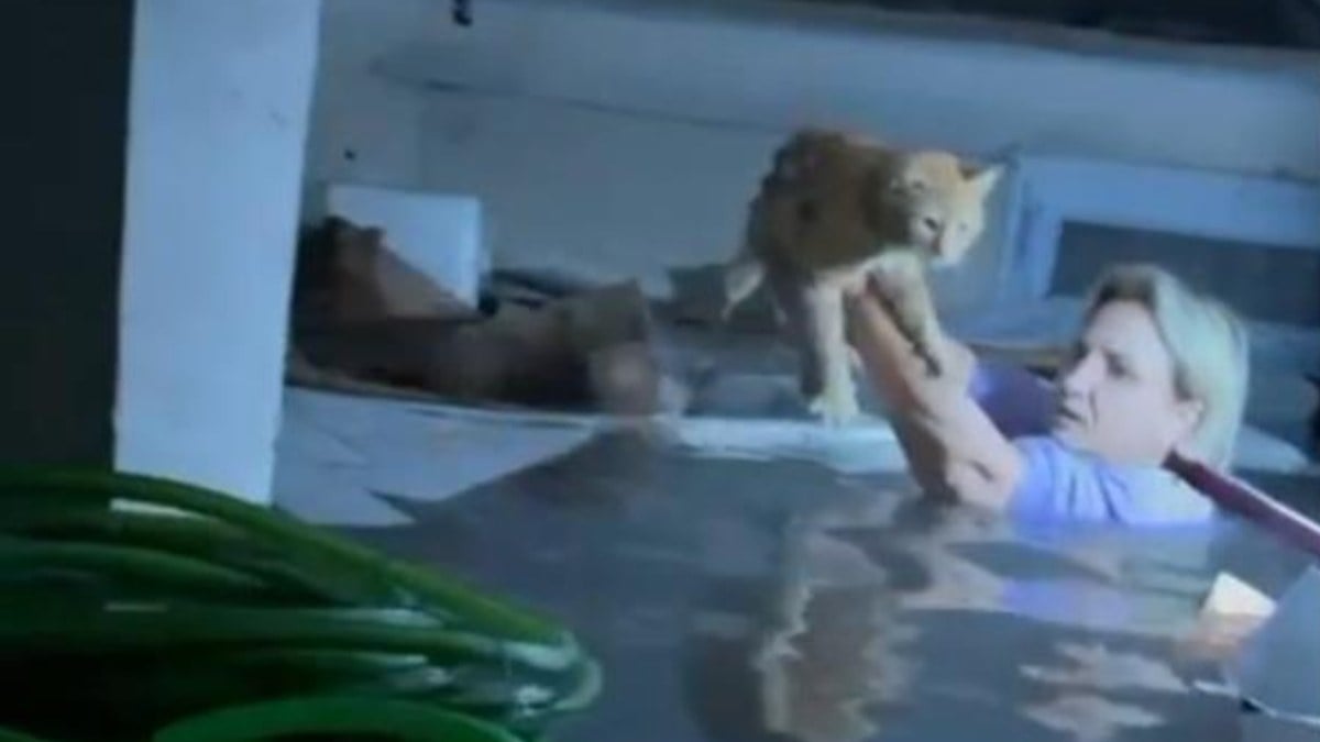 Antalya’da sel felaketinde canını hiçe sayarak kediyi kurtardı