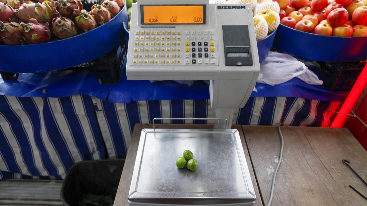 Antalya’da yeşil erikler depolardan çıktı… Tanesi 100 lira