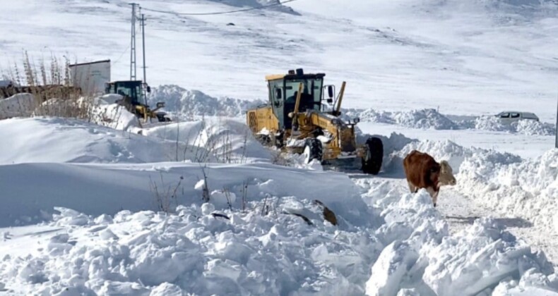 Ardahan’da karla mücadele sürüyor: Son 55 yılın rekor karı yağdı