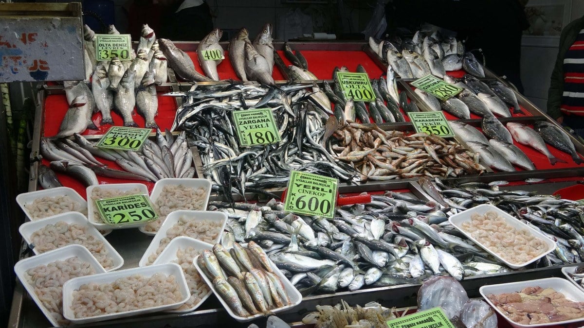 Çanakkale’de ‘denizin prensi’ lüferin kilosu 900 TL oldu