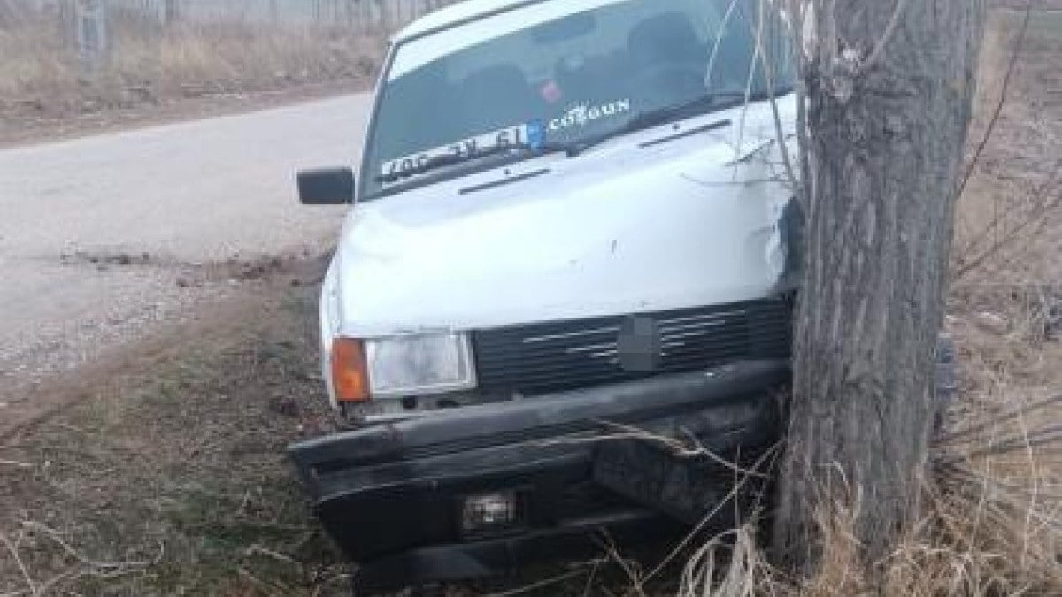 Çorum’da köpeğe çarpmamak için manevra yapan araç ağaca çarptı: 1 yaralı