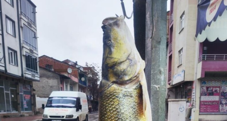 Elazığ’da ağa takılan yaklaşık 2 metrelik dev turna şaşırttı