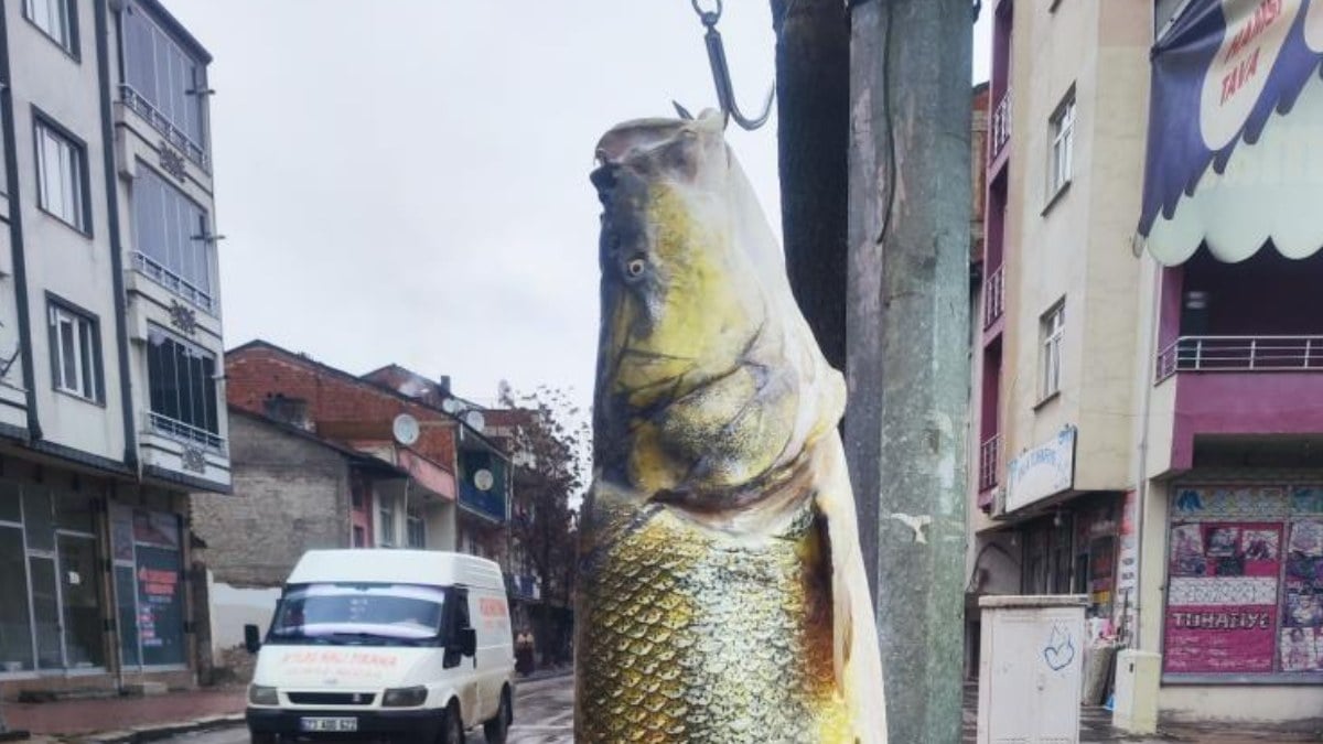 Elazığ’da ağa takılan yaklaşık 2 metrelik dev turna şaşırttı