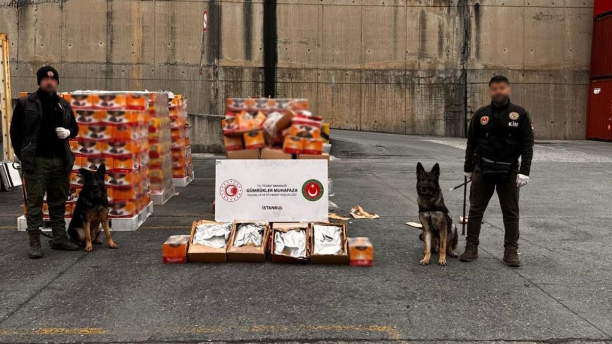 Gümrük Muhafaza görevde! 1 ayda 4 milyar 200 milyon liralık ürüne geçit verilmedi