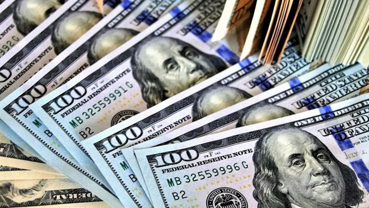 Hazine ve Maliye Bakanlığı dövizle ödeme yasağının uygulanma esaslarını düzenlendi