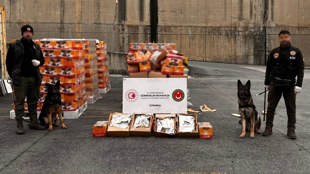 İstanbul Ambarlı Limanı’nda 36 milyon liralık uyuşturucu ele geçirildi