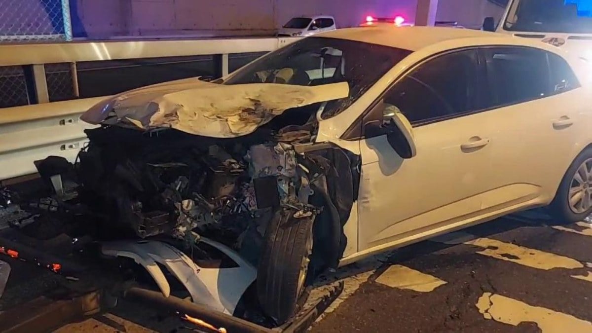 İstanbul Sultanbeyli’de sokak köpeği zincirleme kazaya neden oldu: 12 yaralı