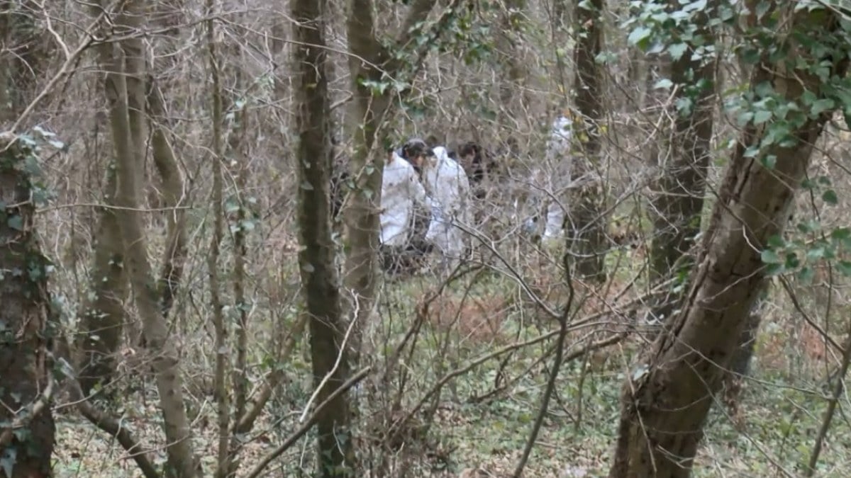 İstanbul’da ağaca bağlanmış erkek cesedi bulundu