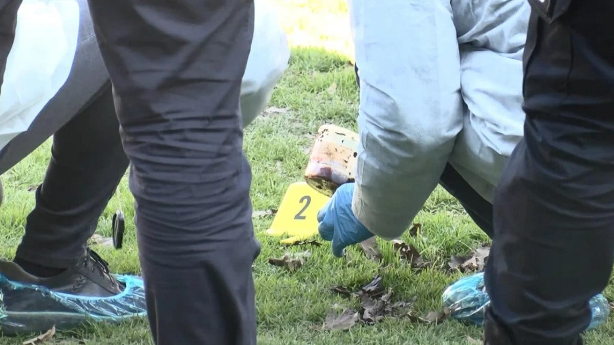 İstanbul’da bir parkta kutu içinde cenin bulundu