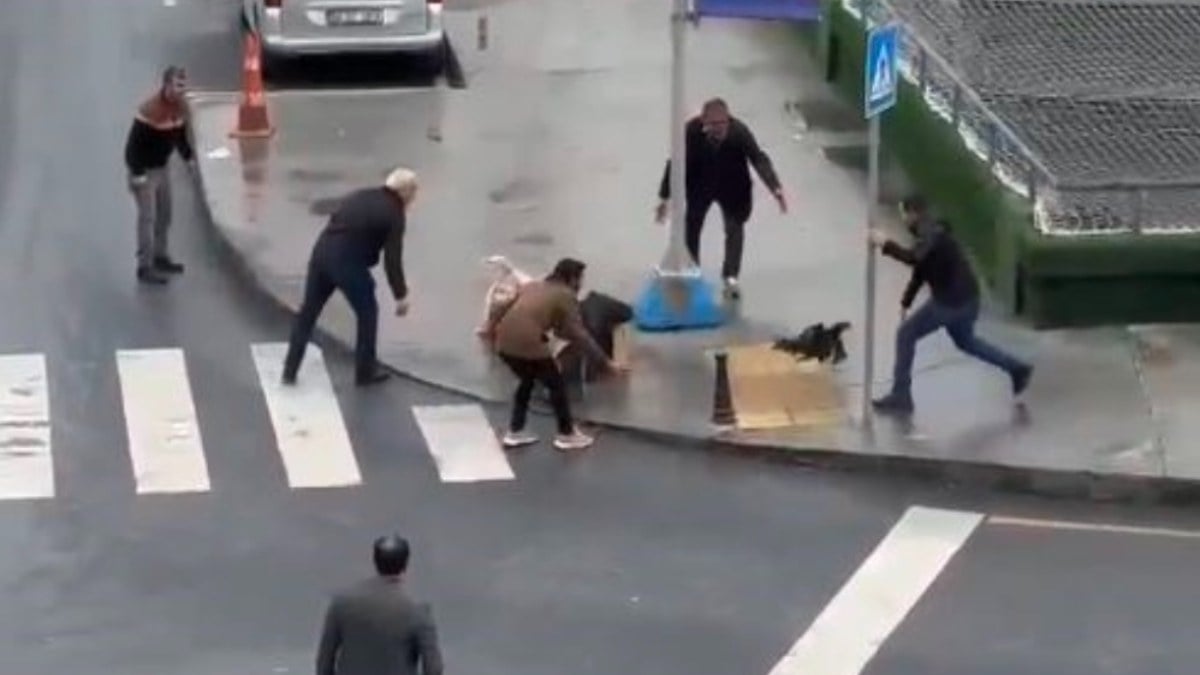 İstanbul’da otogarda sahibinin elinden kaçan horoz güçlükle yakalandı