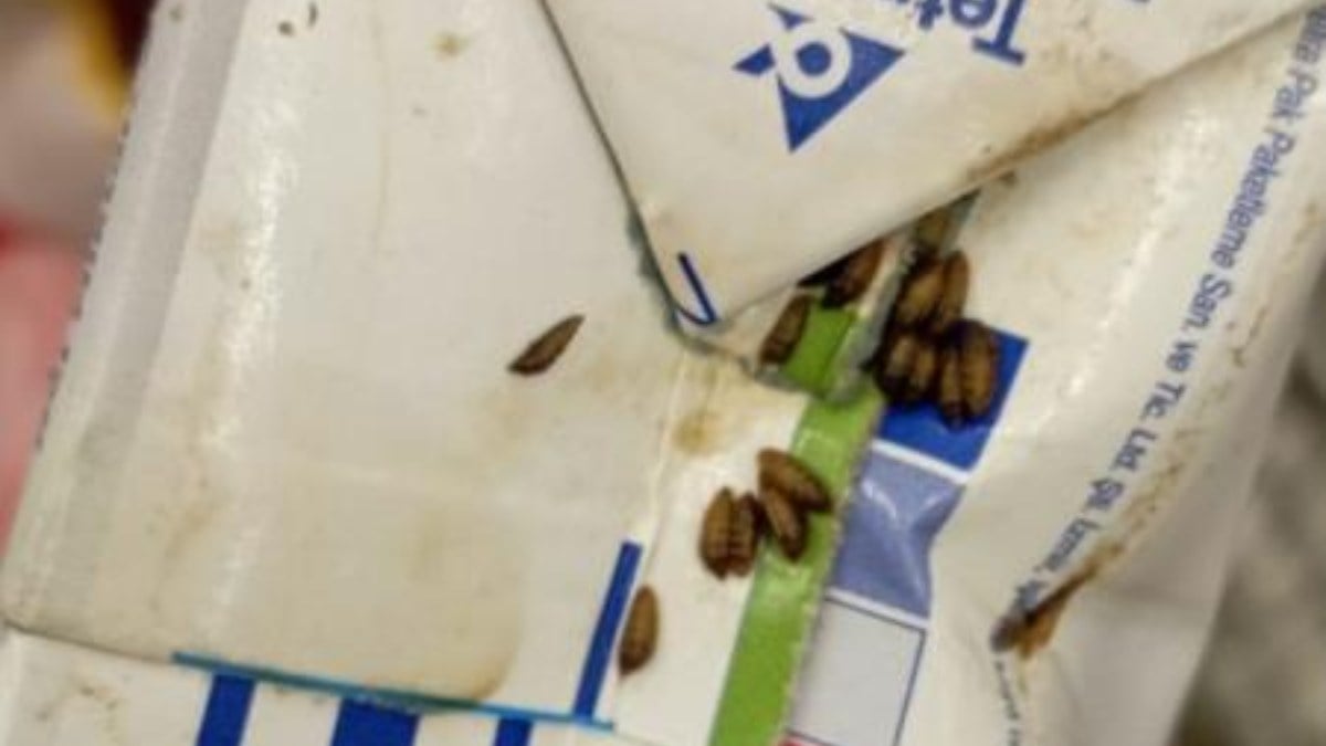 Kocaeli’de markette mide bulandıran görüntü