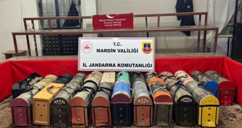 Mardin’de horoz dövüşçülerine operasyon: 578 bin 250 TL ceza