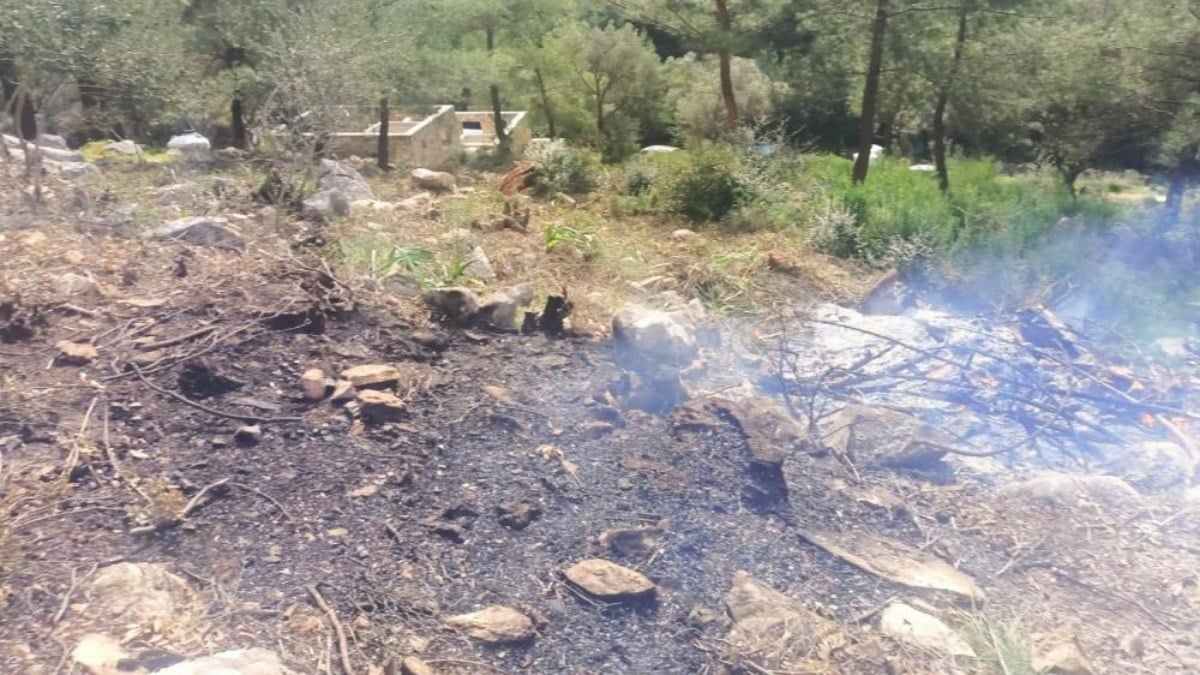 Muğla’da yasa dışı ağaç kesip yakan 20 kişi suçüstü yakalandı
