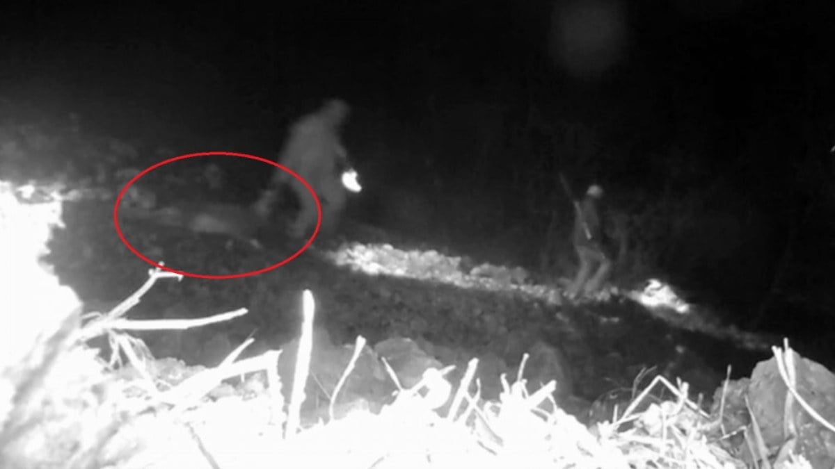 Tunceli’de fotokapana yakalanan kaçak avcılara 346 bin lira ceza kesildi