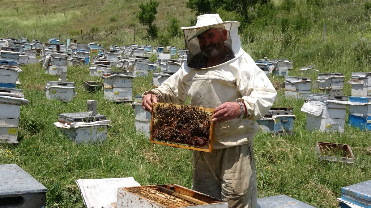 Yozgat’ta gezgin arıcılar nakliye gelirlerinin artmasından şikayetçi