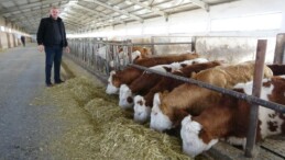 Yozgat’ta ineklere klasik müzik dinletip süt verimini artırdı