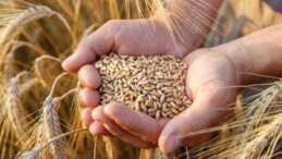 AB, Ukrayna’dan tarım ürünü ithalatına sınır getirecek