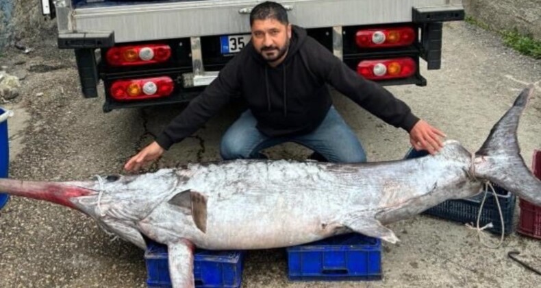 Adana’da dev kılıç balığı yakaladılar: 30 bin TL’ye satıldı