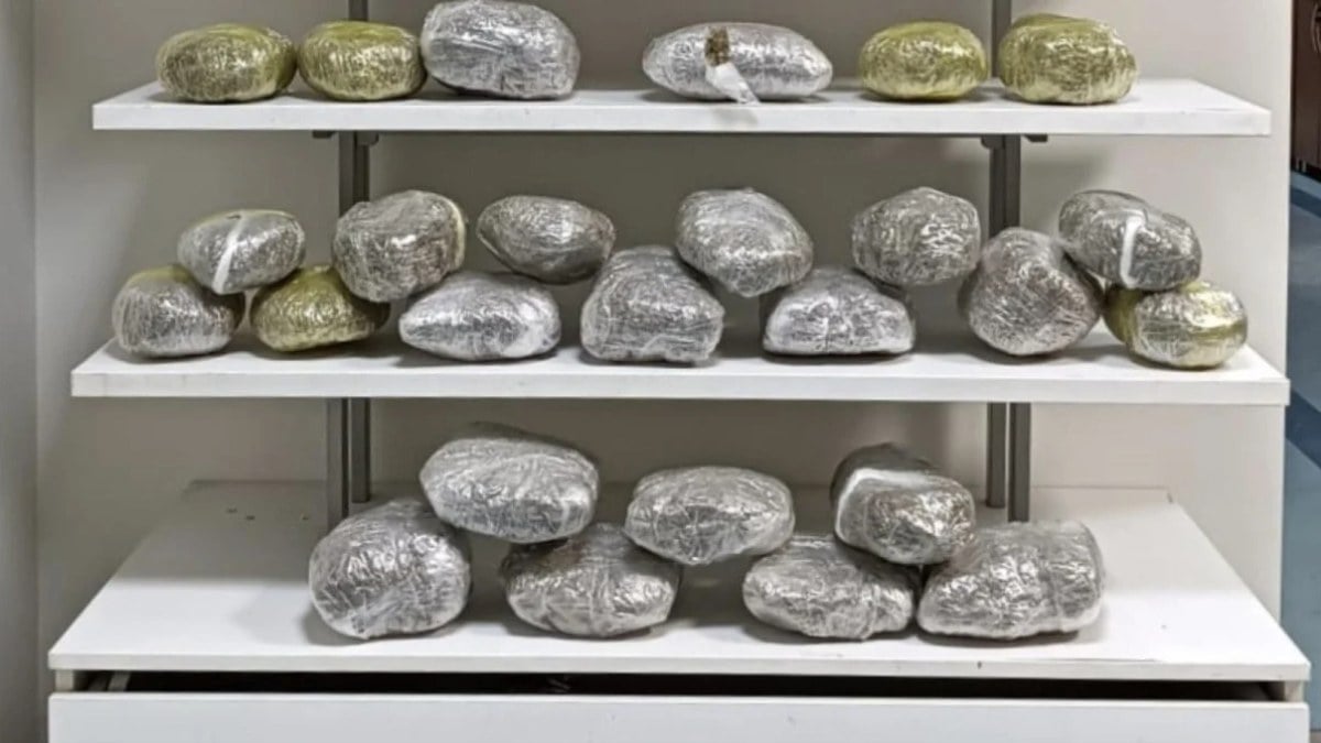 Adana’da valizinde 22 kilogram esrar bulunan yolcu tutuklandı