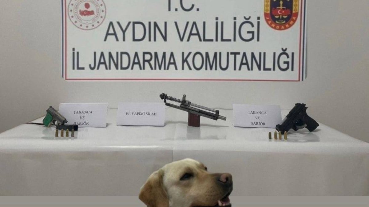Aydın’da sosyal medyadan silahlı paylaşım yaptı: Yakalandı
