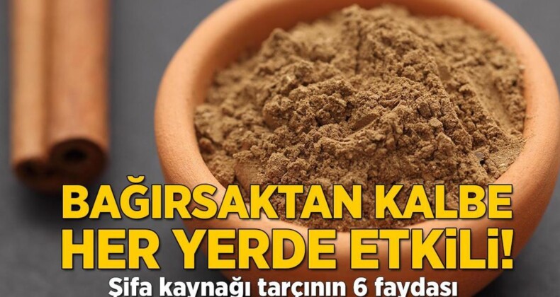 Bağırsaktan kalbe her yerde etkili! Şifa kaynağı tarçının 6 faydası