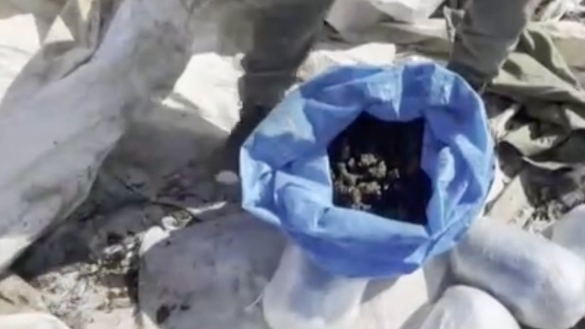 Diyarbakır’da uyuşturucu operasyonu: 116 kilogram esrar ele geçirildi