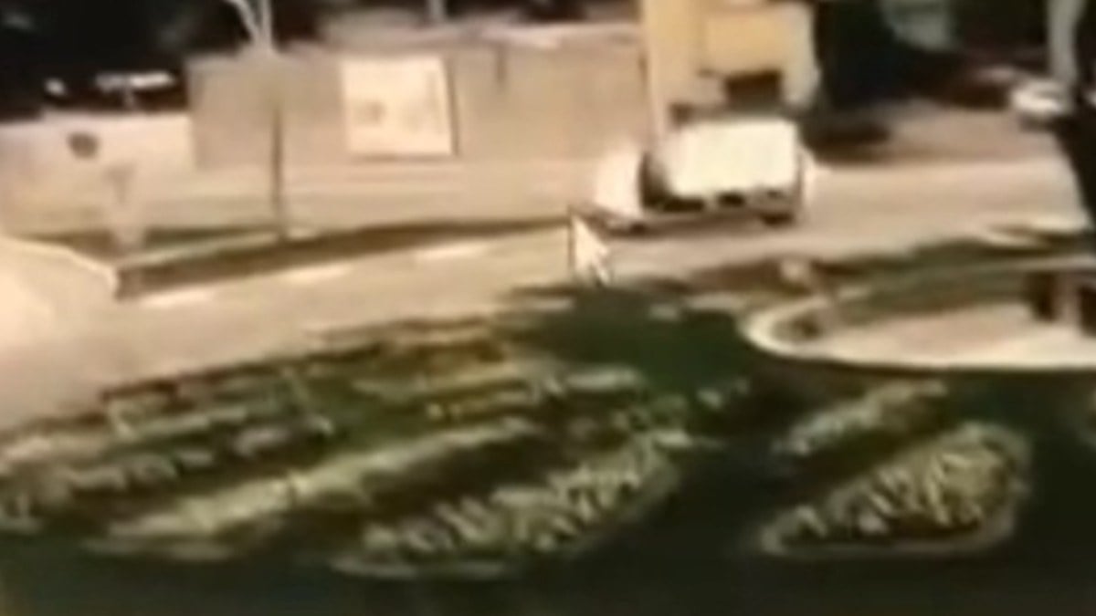 Edirne’de refüje çarparak devrilen aracın sürücüsü yaralandı