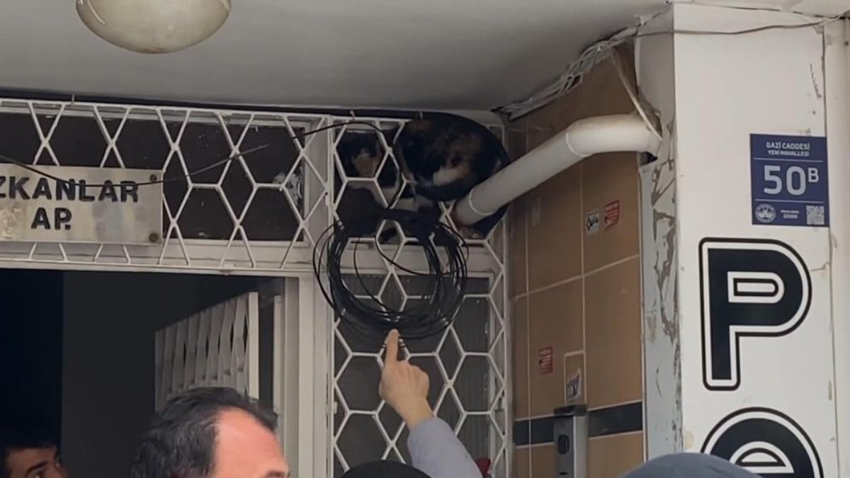 Elazığ’da kedi kurtarma operasyonunda itfaiye ile uğraştılar